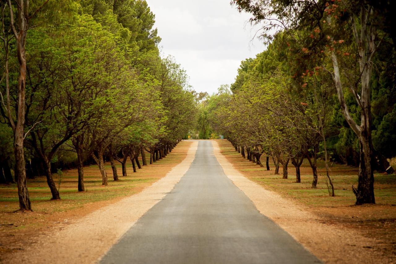 Renmark Country Club Eksteriør billede