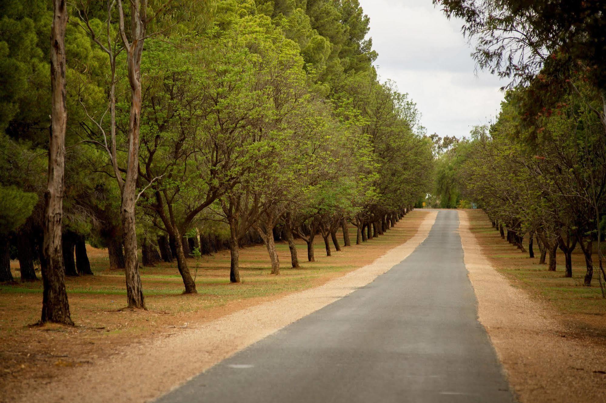 Renmark Country Club Eksteriør billede