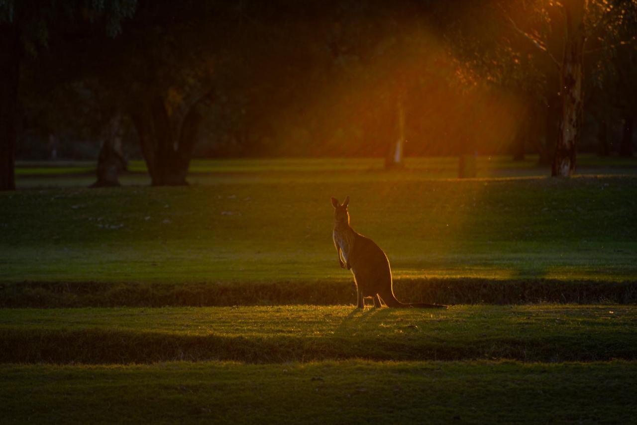 Renmark Country Club Eksteriør billede
