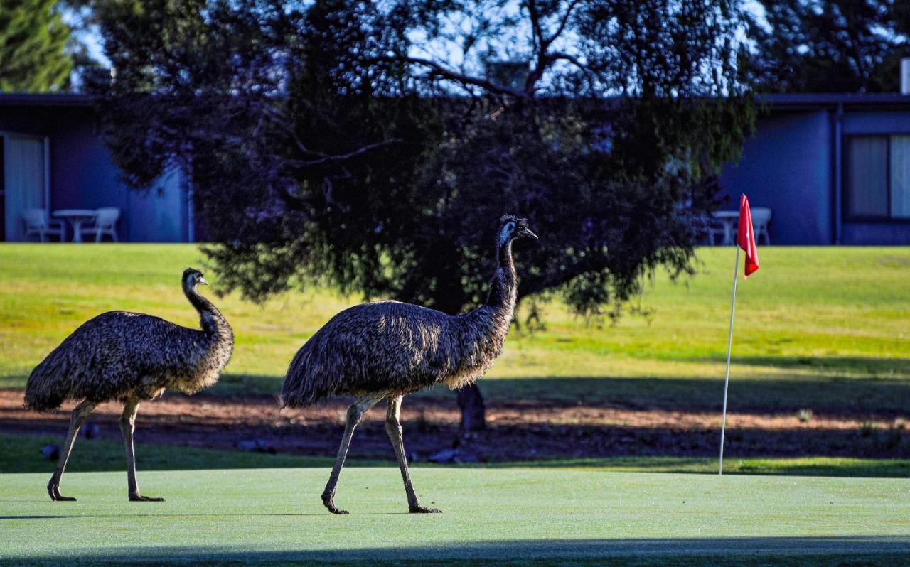 Renmark Country Club Eksteriør billede